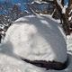 andrea's car