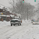 cold spring ln
