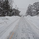 cold spring ln